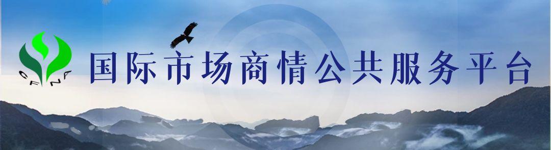 国际市场商情服务平台